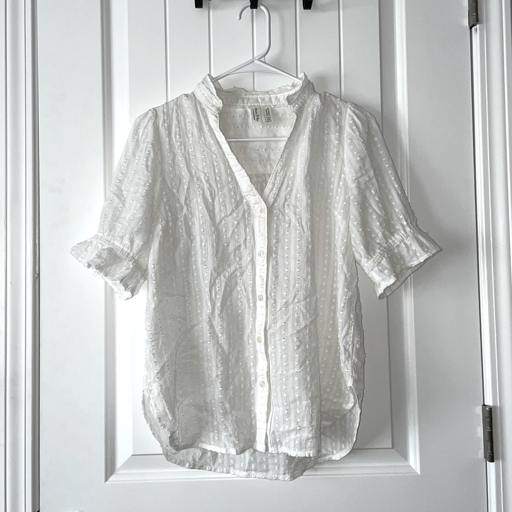 Meadow Rue Swiss Dot V Neck Short Sleeve Blouse